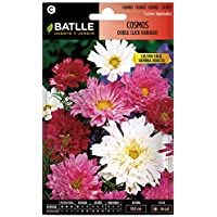 Semillas de Flores - Cosmos Doble Click - Batlle